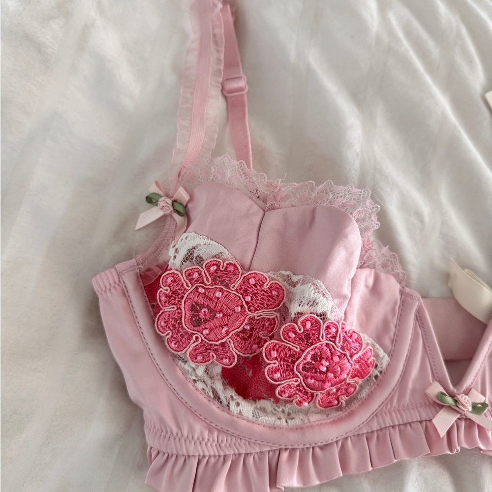 BNWT For Love And Lemons Pink Floral Embroidered Bra - Picture 2 of 5